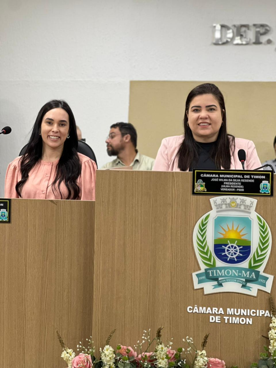 Secretária Dávila apresenta ações do primeiro quadrimestre da Saúde de Timon em Audiência Pública na Câmara