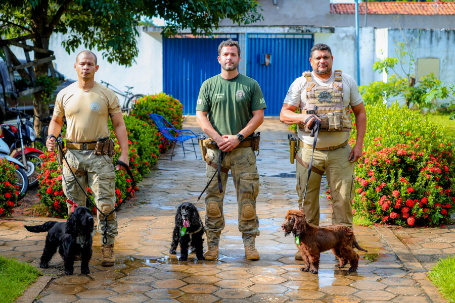 Prefeitura de Timon inicia projeto educativo em escolas da rede municipal com cães policiais