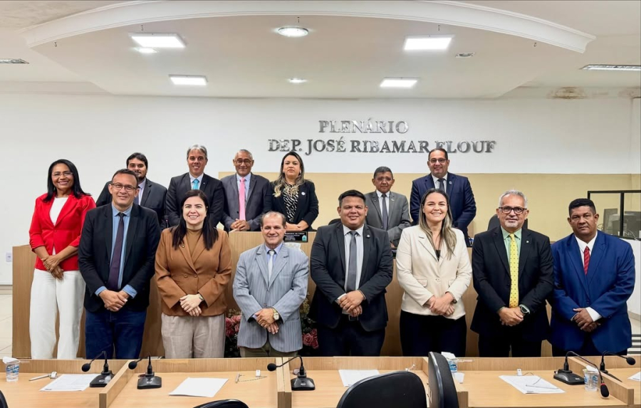 Vereadores de Timon aprovam ações para obras, limpeza urbana e segurança no trânsito