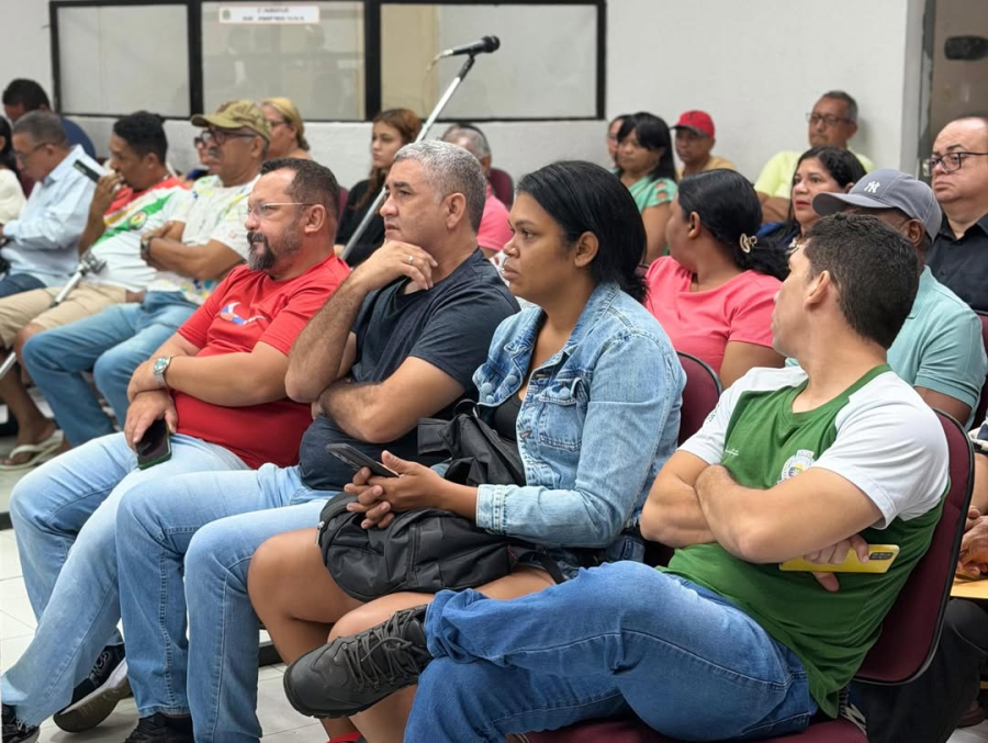 Audiência pública discute poluição sonora e reforça necessidade de fiscalização em Timon