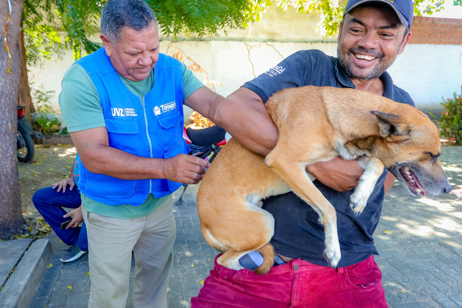 Saúde em 4 Patas” leva atendimento veterinário e vacinação para o bairro Padre Delfino