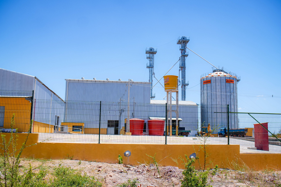 Timon registra mais de 2 mil novas empresas em um ano e amplia oportunidades de emprego